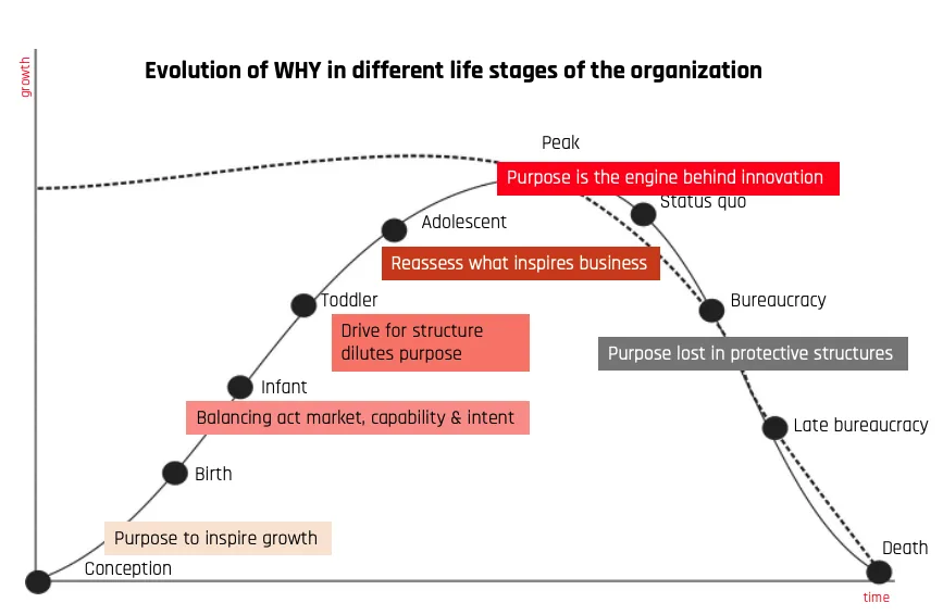 Diagram van de evolutie van de WHY in verschillende levensfasen van een organisatie, van geboorte tot de dood, met hoogte- en dieptepunten en bijbehorende beschrijvingen.